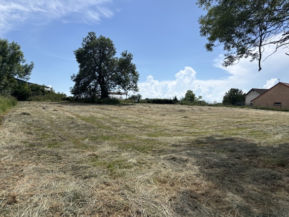 BEAUVEZET Terrain